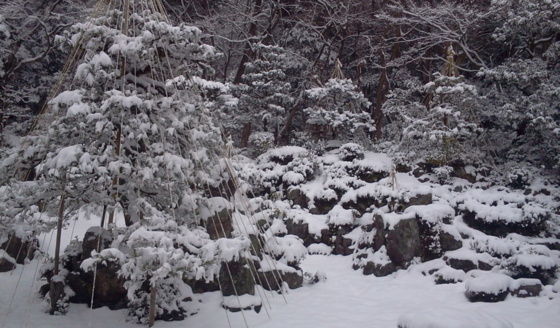 [Travel][Garden][雪]