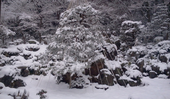 f:id:airgyan:20150102161609j:image f:id:airgyan:20150102161609j:image