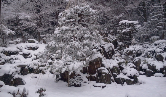 [Travel][Garden][雪]