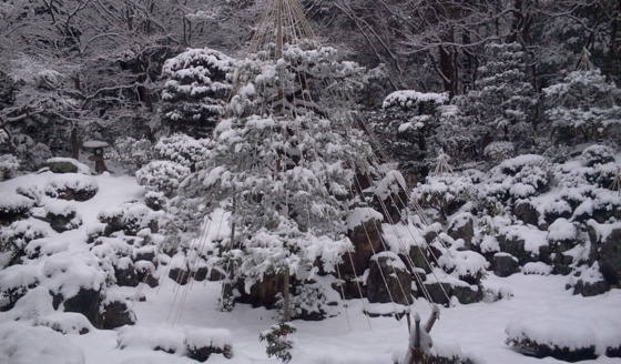 [Travel][Garden][雪]