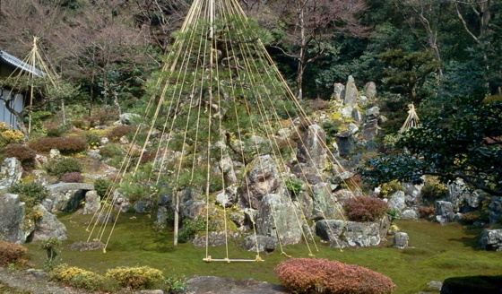 f:id:airgyan:20150316201200j:image f:id:airgyan:20150316201200j:image