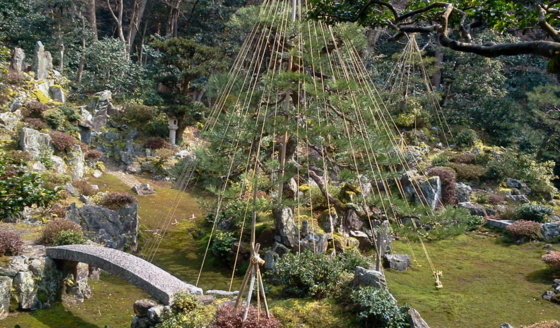 f:id:airgyan:20150316201204j:image f:id:airgyan:20150316201204j:image