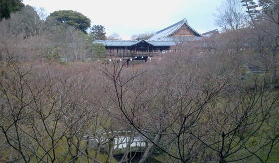 京都旅行・庭園編。東福寺 龍吟庵庭園 / 東福寺本坊庭園 / 本