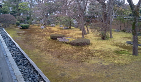 京都旅行・庭園編。東福寺 龍吟庵庭園 / 東福寺本坊庭園 / 本