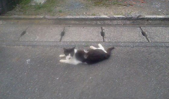 f:id:airgyan:20150720015852j:image