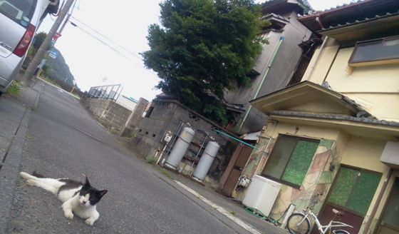 f:id:airgyan:20150720015854j:image