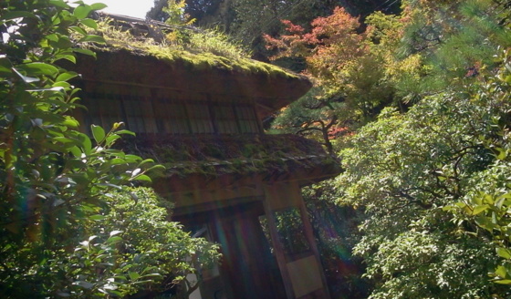 f:id:airgyan:20150910004027j:image f:id:airgyan:20150910004027j:image