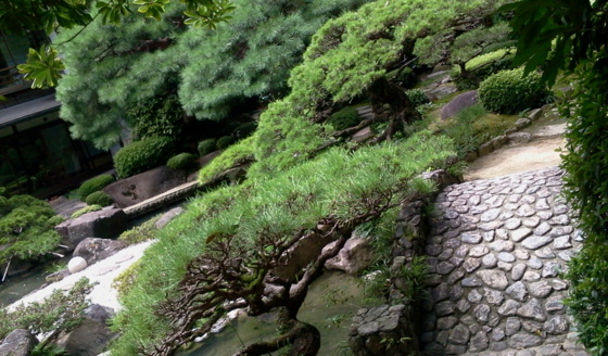 f:id:airgyan:20150910004049j:image f:id:airgyan:20150910004049j:image
