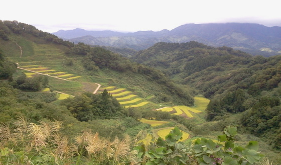 f:id:airgyan:20150913091330j:image f:id:airgyan:20150913091330j:image