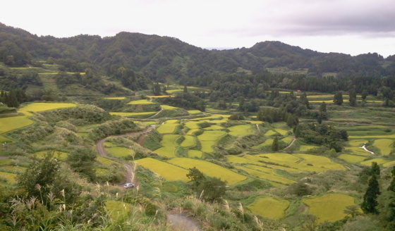 f:id:airgyan:20150913091429j:image f:id:airgyan:20150913091429j:image