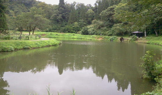 f:id:airgyan:20150913091433j:image f:id:airgyan:20150913091433j:image