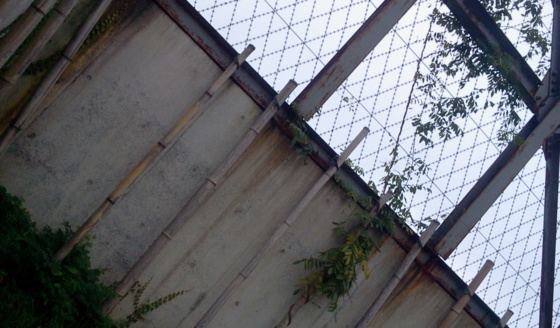 f:id:airgyan:20150913091445j:image f:id:airgyan:20150913091445j:image