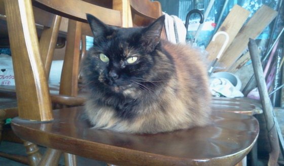 f:id:airgyan:20150921011058j:image f:id:airgyan:20150921011058j:image