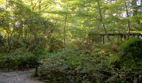 f:id:airgyan:20150921011124j:image f:id:airgyan:20150921011124j:image