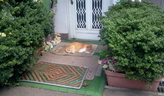 f:id:airgyan:20150927012540j:image