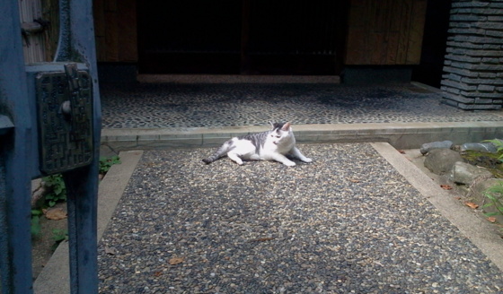 f:id:airgyan:20150927012549j:image