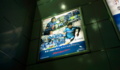 [Travel][Jubilo][Football]