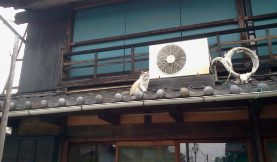 f:id:airgyan:20151008131938j:image