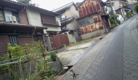 f:id:airgyan:20151008131943j:image