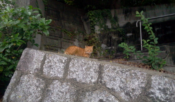 f:id:airgyan:20151008131944j:image