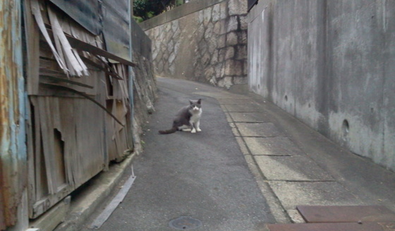 f:id:airgyan:20151008131957j:image