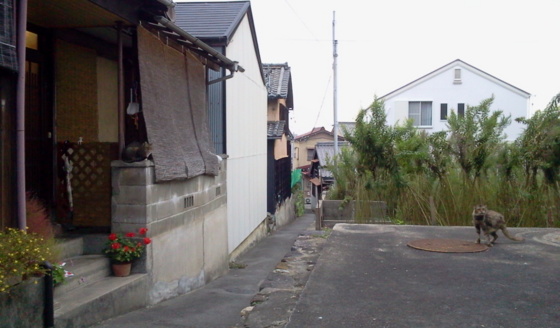 f:id:airgyan:20151008131958j:image