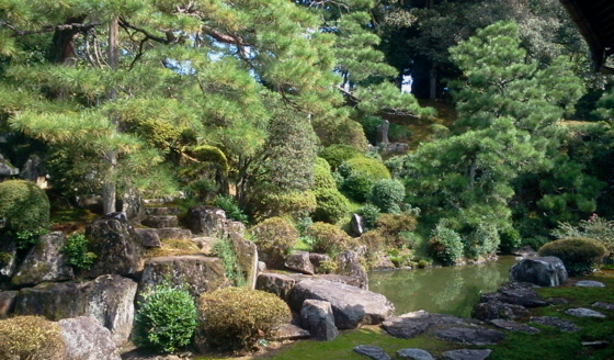 f:id:airgyan:20151008132018j:image