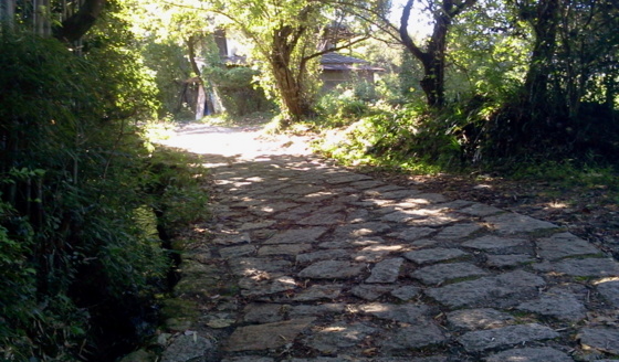 f:id:airgyan:20151008132159j:image f:id:airgyan:20151008132159j:image