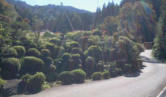 f:id:airgyan:20151008132200j:image f:id:airgyan:20151008132200j:image