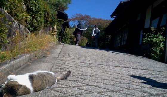 f:id:airgyan:20151008132206j:image f:id:airgyan:20151008132206j:image