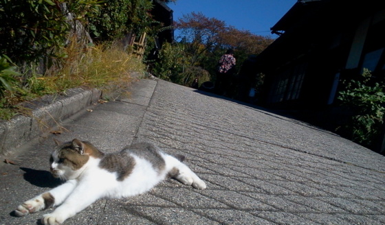 f:id:airgyan:20151008132207j:image f:id:airgyan:20151008132207j:image