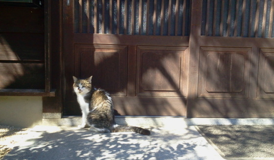 f:id:airgyan:20151008132228j:image f:id:airgyan:20151008132228j:image