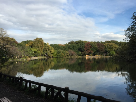 f:id:airgyan:20151112150113j:image f:id:airgyan:20151112150113j:image