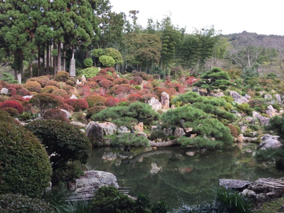 f:id:airgyan:20151117145419j:image