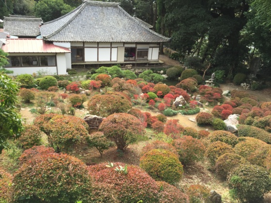 f:id:airgyan:20151117145421j:image