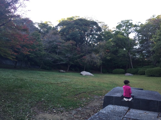 f:id:airgyan:20151117151946j:image