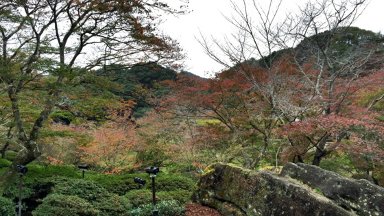 f:id:airgyan:20151126185850j:image f:id:airgyan:20151126185850j:image