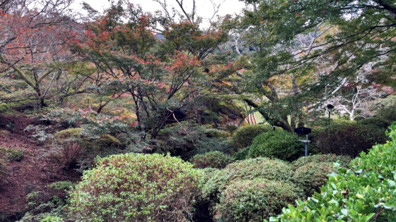 f:id:airgyan:20151126185851j:image f:id:airgyan:20151126185851j:image