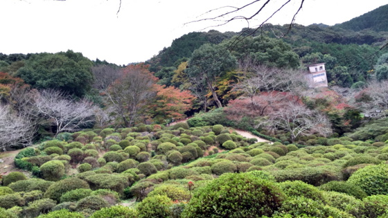 f:id:airgyan:20151126185855j:image f:id:airgyan:20151126185855j:image