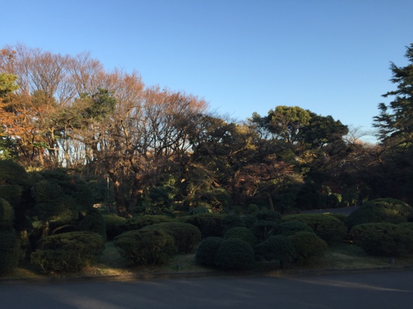 f:id:airgyan:20151227200034j:image f:id:airgyan:20151227200034j:image