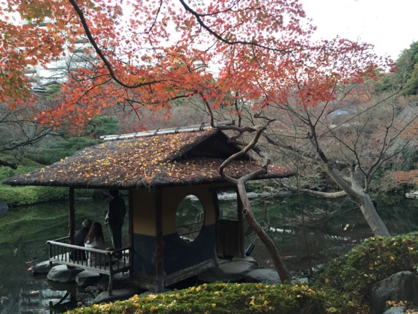 f:id:airgyan:20151227200050j:image