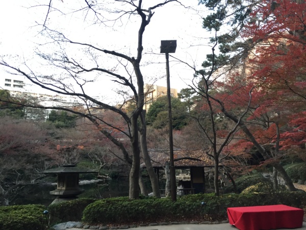 f:id:airgyan:20151227200051j:image f:id:airgyan:20151227200051j:image
