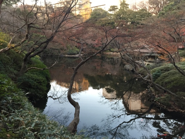 f:id:airgyan:20151227200052j:image f:id:airgyan:20151227200052j:image