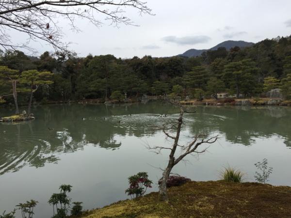 f:id:airgyan:20160228175647j:image f:id:airgyan:20160228175647j:image