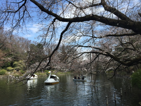 f:id:airgyan:20160328002309j:image f:id:airgyan:20160328002309j:image