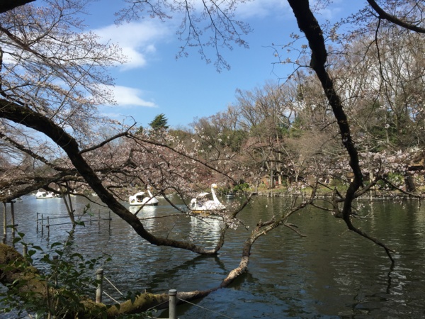 f:id:airgyan:20160328002310j:image f:id:airgyan:20160328002310j:image