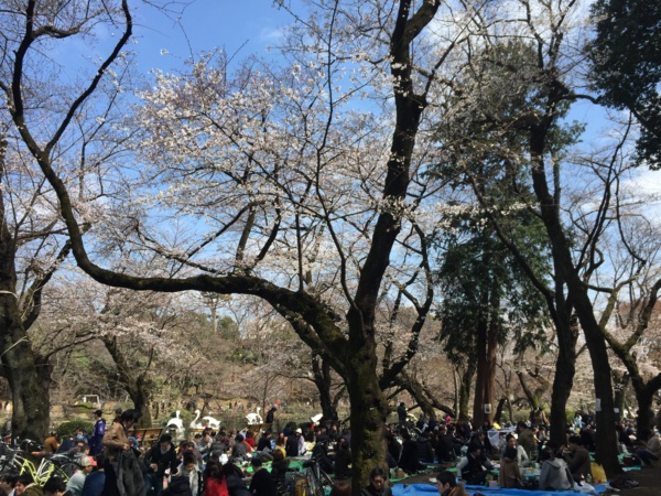 f:id:airgyan:20160328002312j:image f:id:airgyan:20160328002312j:image