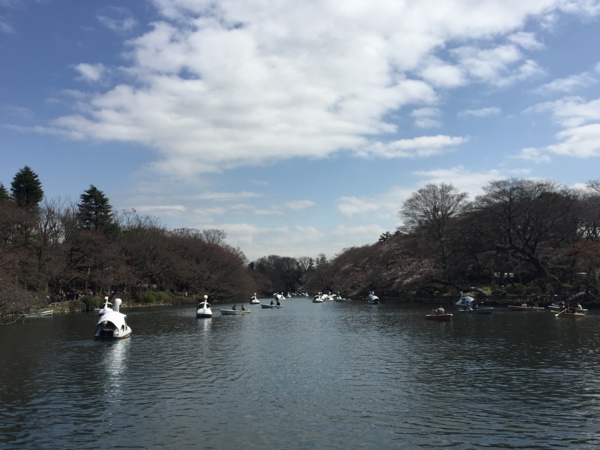 f:id:airgyan:20160328002313j:image f:id:airgyan:20160328002313j:image