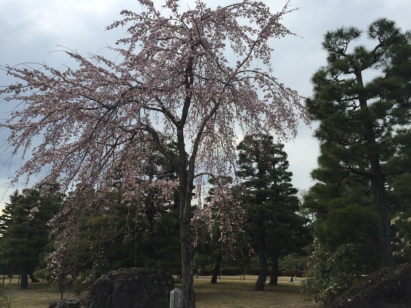 f:id:airgyan:20160328002651j:image