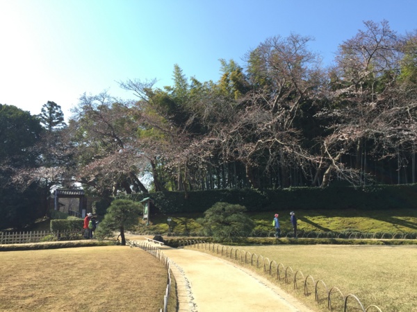 f:id:airgyan:20160409230614j:image f:id:airgyan:20160409230614j:image